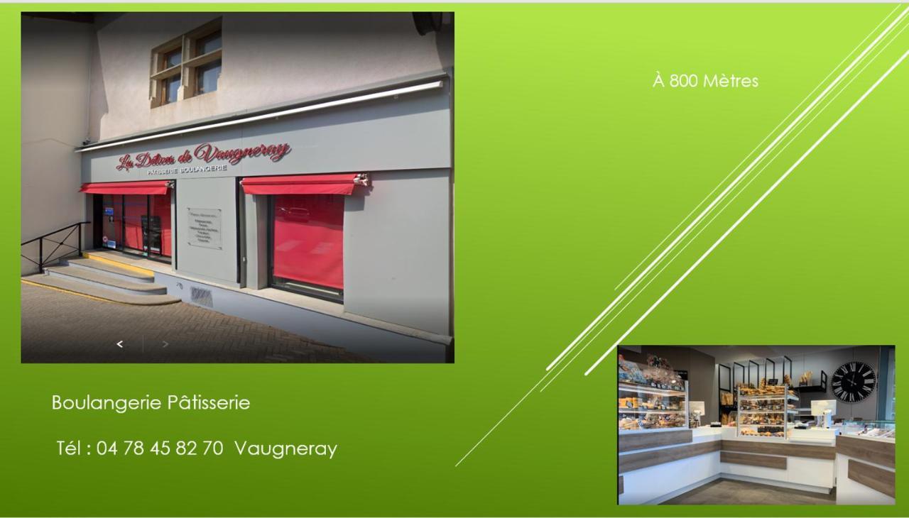 Bel Appartement T2 40 M² Vaugneray Luaran gambar